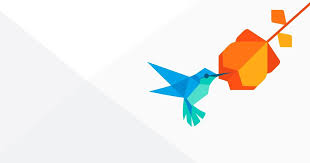 Dibujo inicial de un colibrí