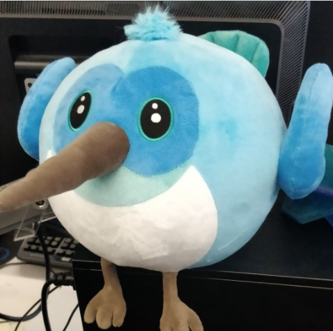 Dash sola