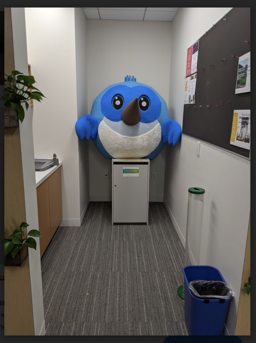 Mega-Dash en la oficina