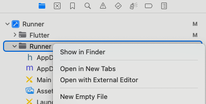 Opción New Empty File en Xcode