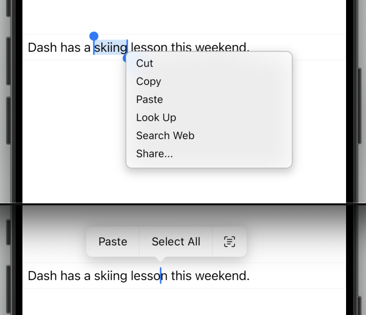 Imagen renderizada o visualización del Widget CupertinoAdaptiveTextSelectionToolbar.