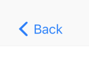 Imagen renderizada o visualización del Widget CupertinoNavigationBarBackButton.